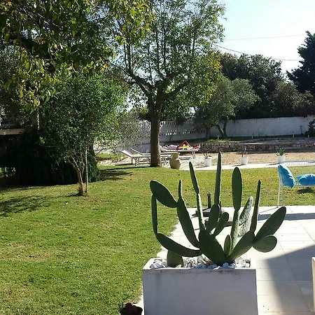 Margherita